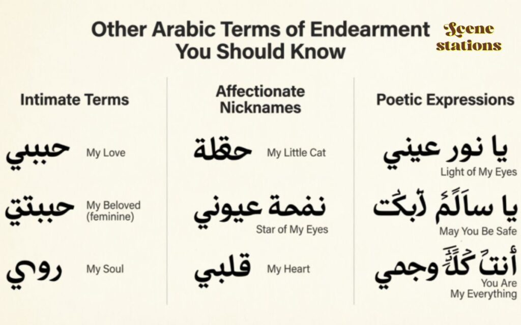 Other Arabic Terms of Endearment You Should Know
