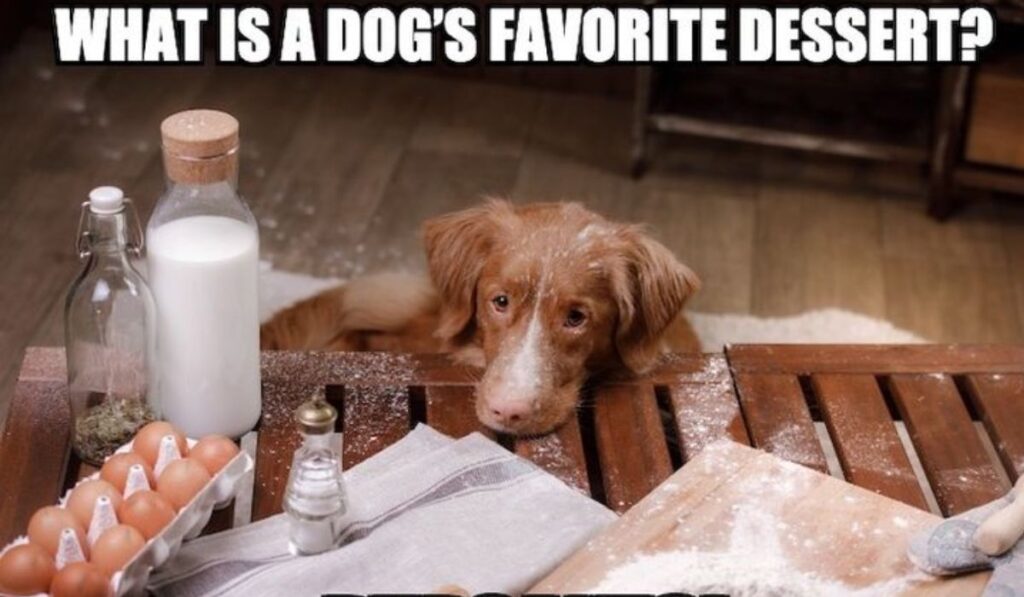 Food-Themed Dog Puns